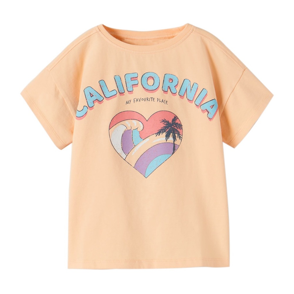 Zara California T-shirt